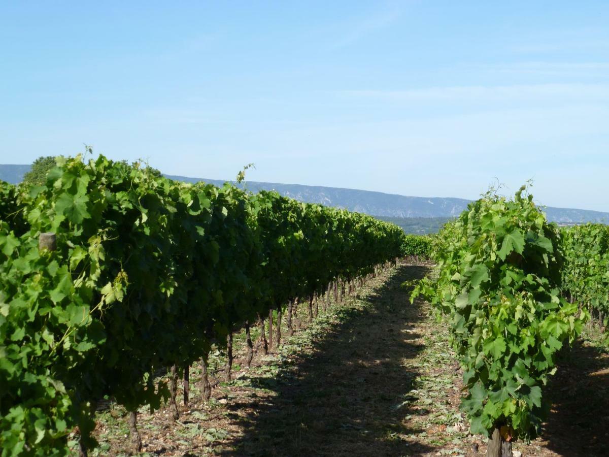 Luberon & Lavandes Roussillon en Isere エクステリア 写真