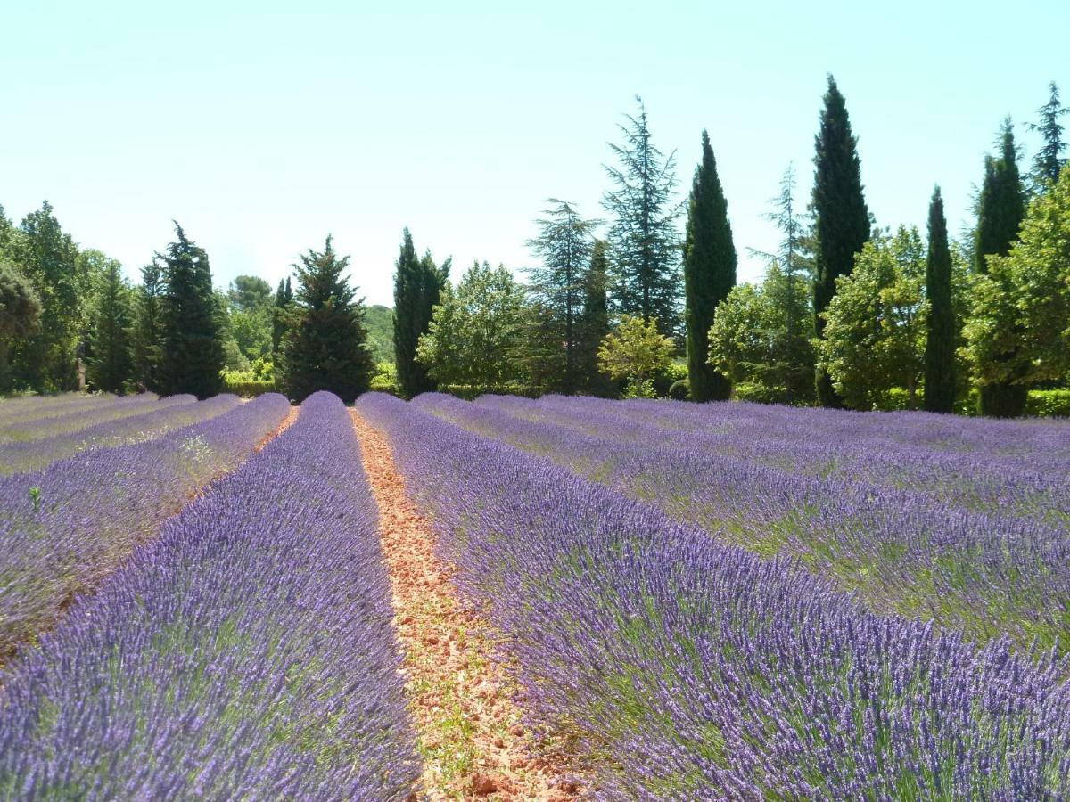 Luberon & Lavandes Roussillon en Isere エクステリア 写真
